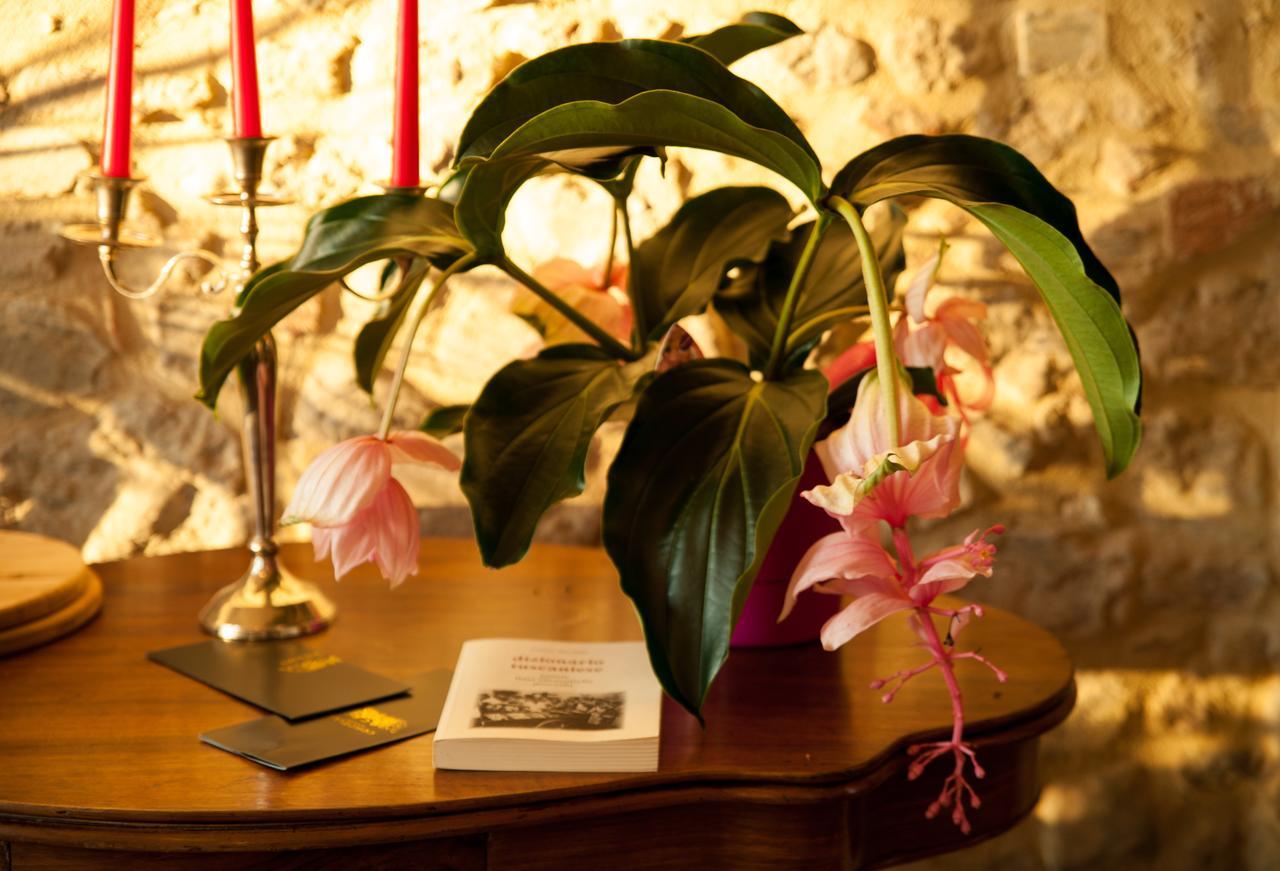Cordella In Montalcino Wine Resort Εξωτερικό φωτογραφία