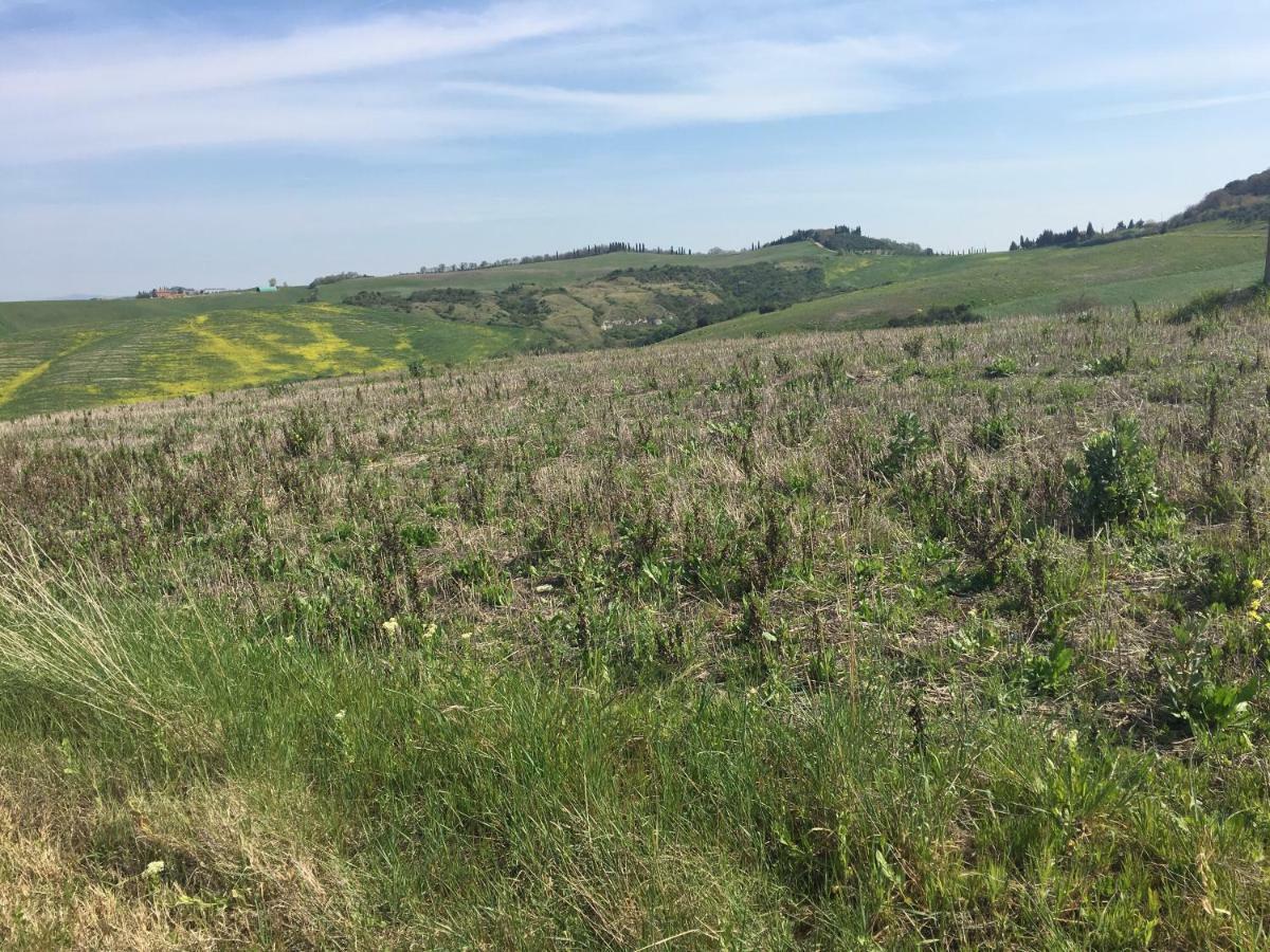 Cordella In Montalcino Wine Resort Εξωτερικό φωτογραφία