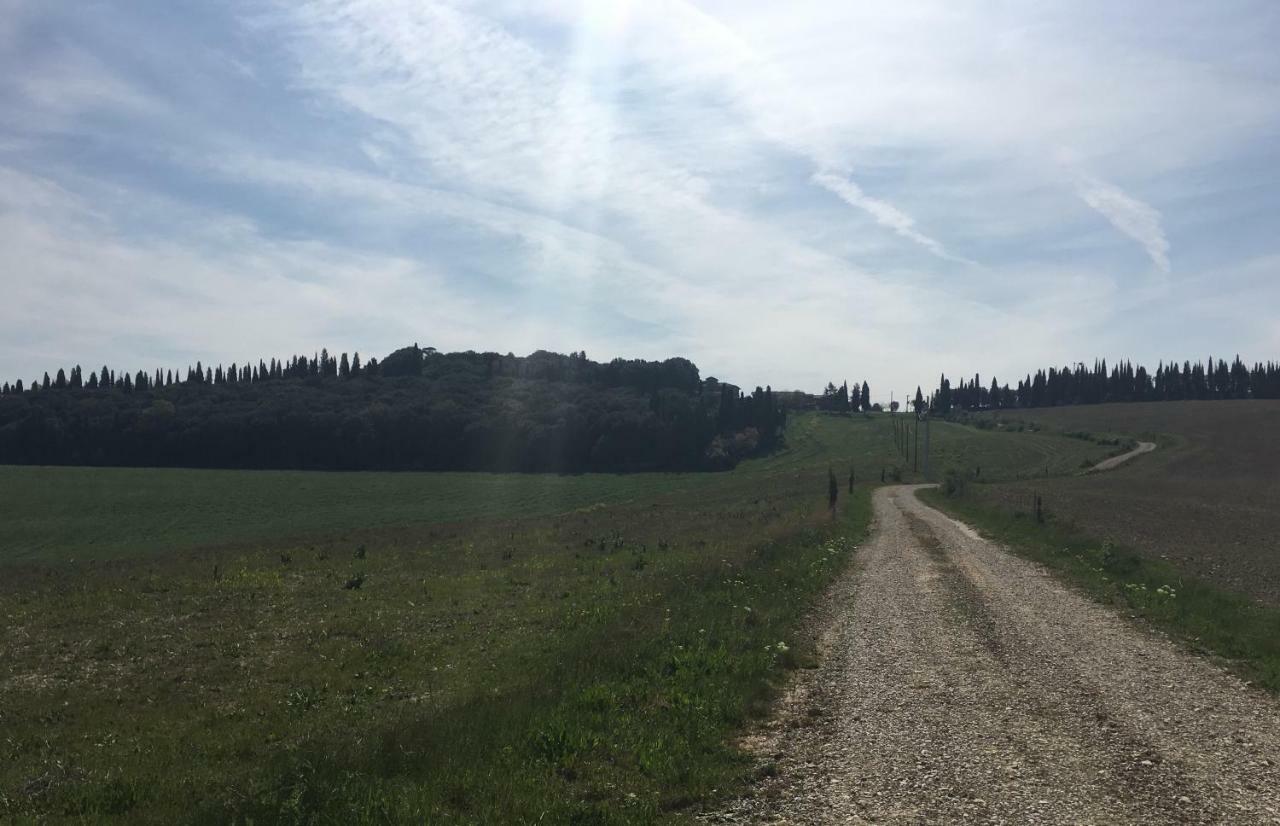 Cordella In Montalcino Wine Resort Εξωτερικό φωτογραφία