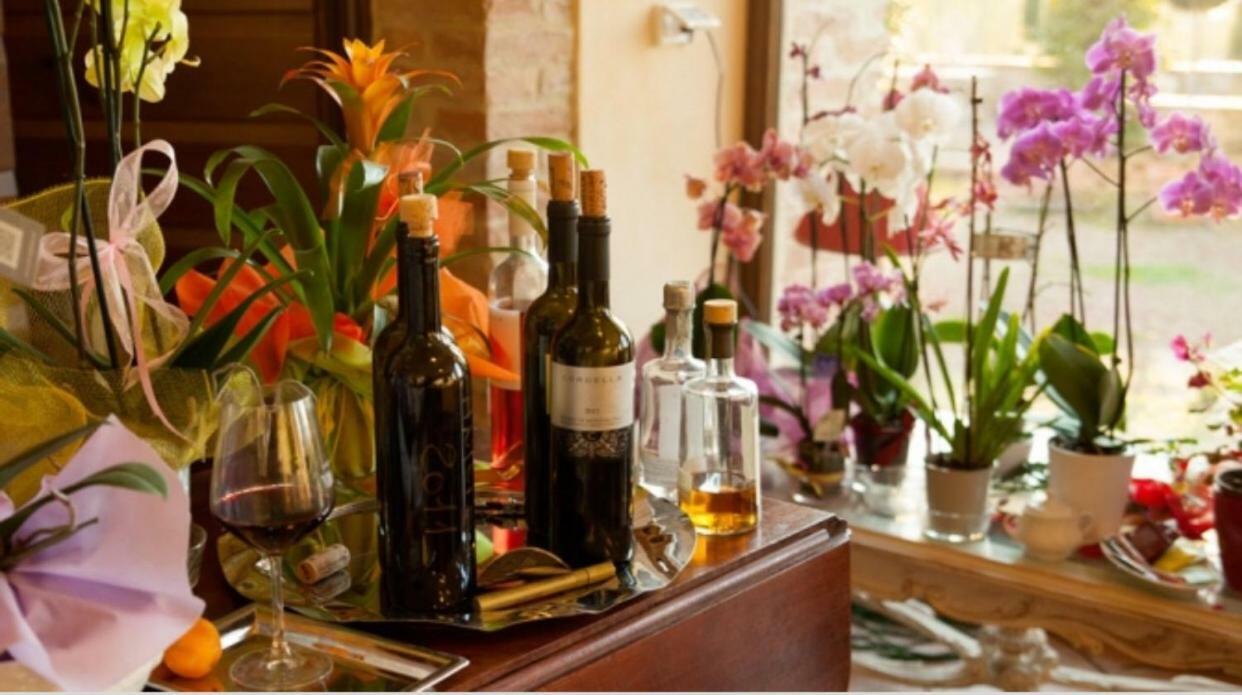 Cordella In Montalcino Wine Resort Εξωτερικό φωτογραφία