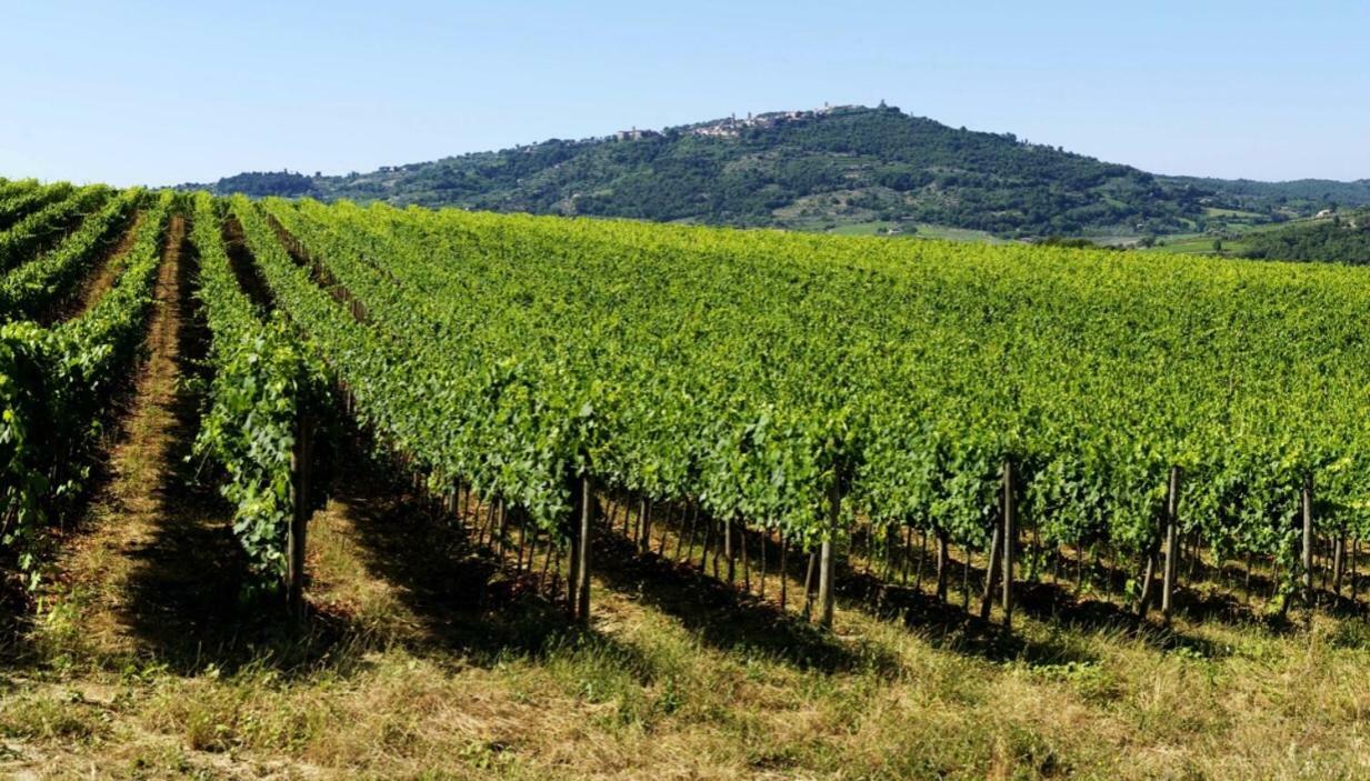 Cordella In Montalcino Wine Resort Εξωτερικό φωτογραφία
